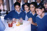 Children trained on making natural colours for Holi